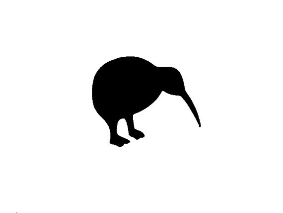 1000+ images about New Zealand Bird images | New ...