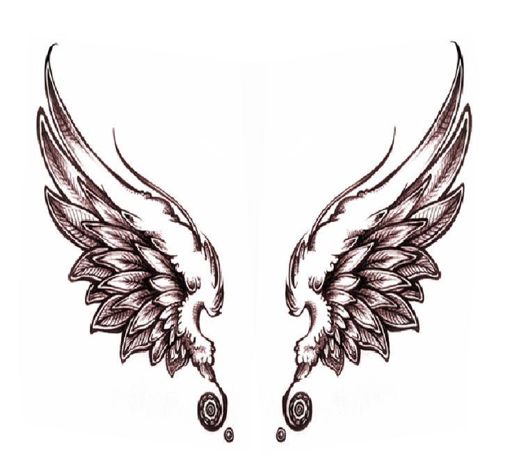 1000+ images about Angel wings