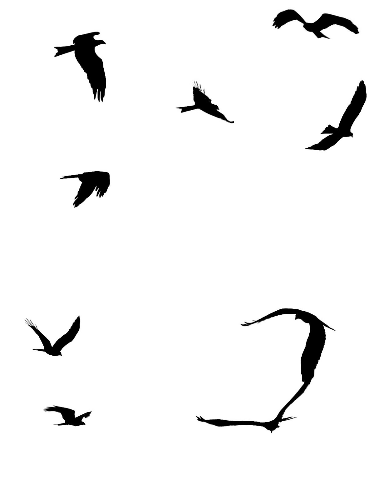 Flying Bird Silhouette Clipart