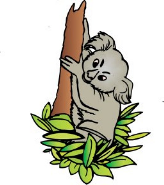 Koala Clipart Images - Free Clipart Images