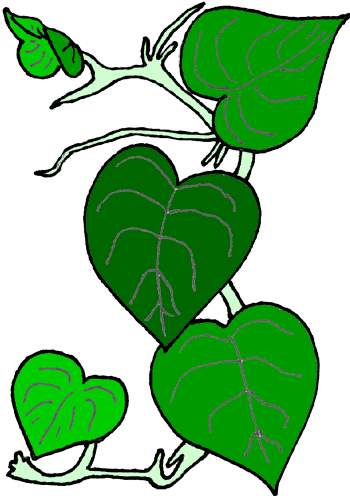 Green Vines Clip Art - Free Clipart Images
