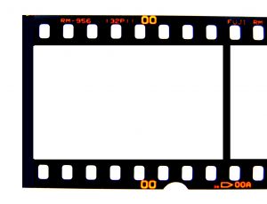 Film Negative - Stock Photo - freeimages