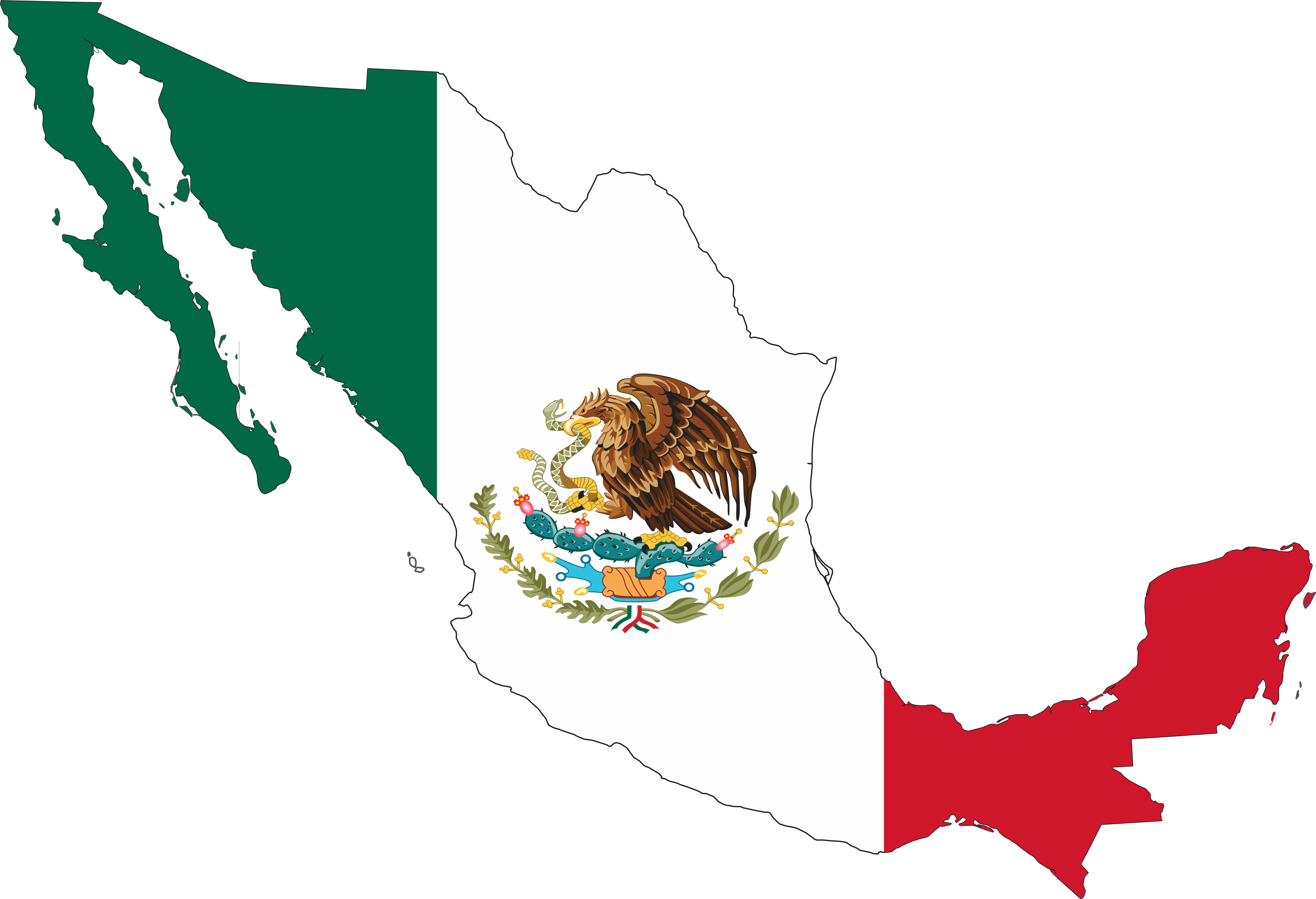 Mexican flag with pool clipart