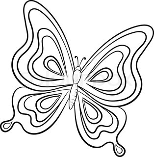 1000+ images about Butterfly