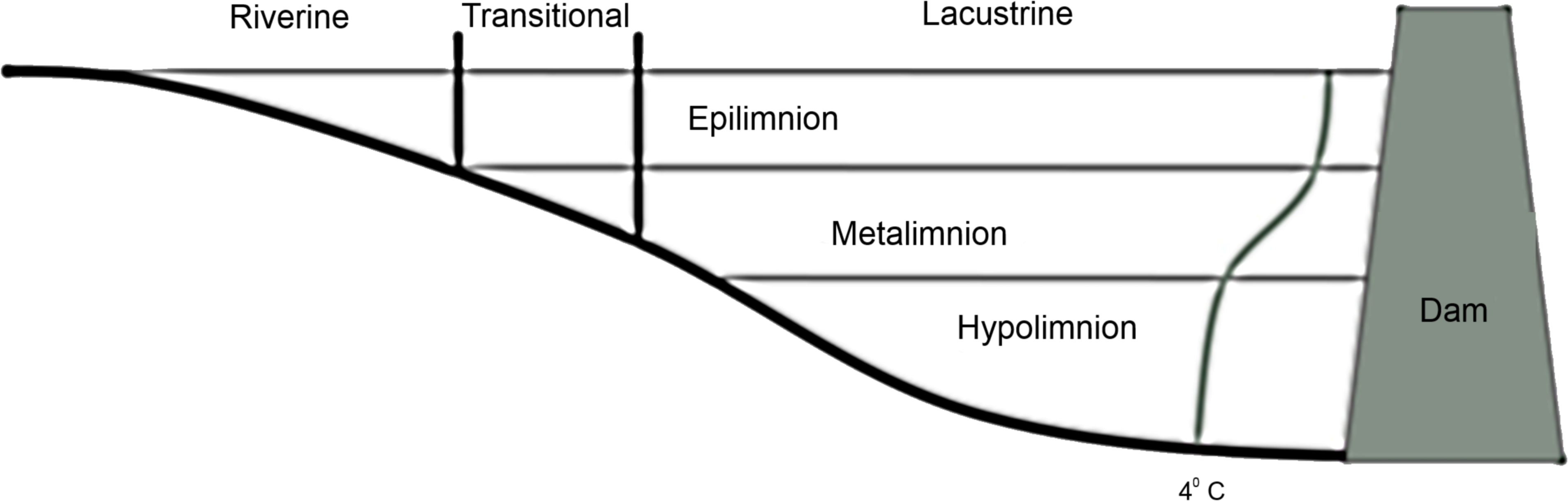 Applying a reservoir functional-zone paradigm to littoral ...