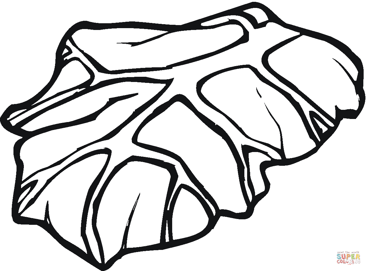 Lettuce Coloring Page - ClipArt Best