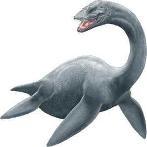 1000+ images about Loch Ness Monster