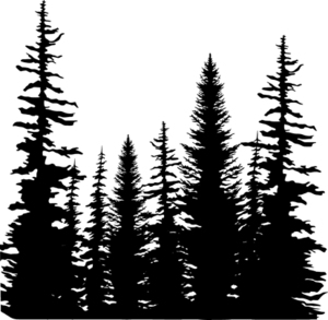 Impression Obsession Cling Stamp PINE TREES CC101