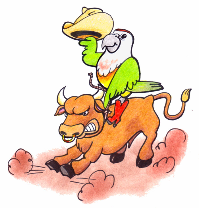 Trained Parrot Blog - Parrots travel to Phoenix and Texas