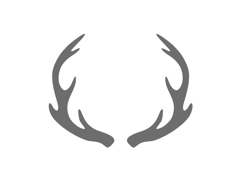 Wildlife Stencil Shapes - Custom Wildlife Stencils | Craftcuts.com
