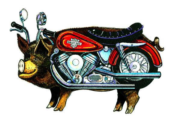How's Your Hog Doing? | My Pig Me Up