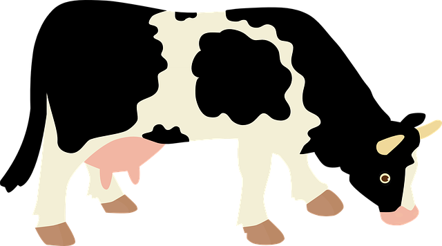 Free photo Eyes Animal Farm Milking Cattle Milk Cow Farming - Max ...