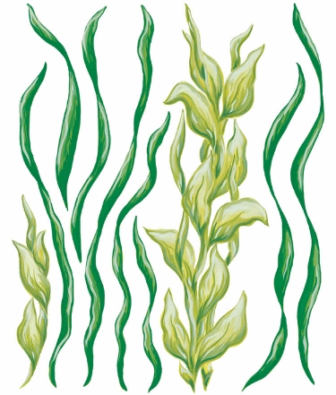SJ Home Interiors and Wall Decor - Sea Grass