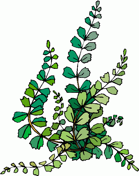 plant_07 clipart - plant_07 clip art