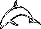 53263M.GIF