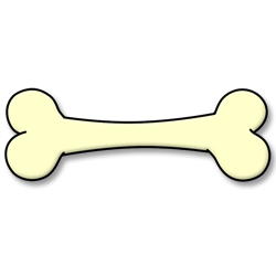 Draw a Cartoon Bone