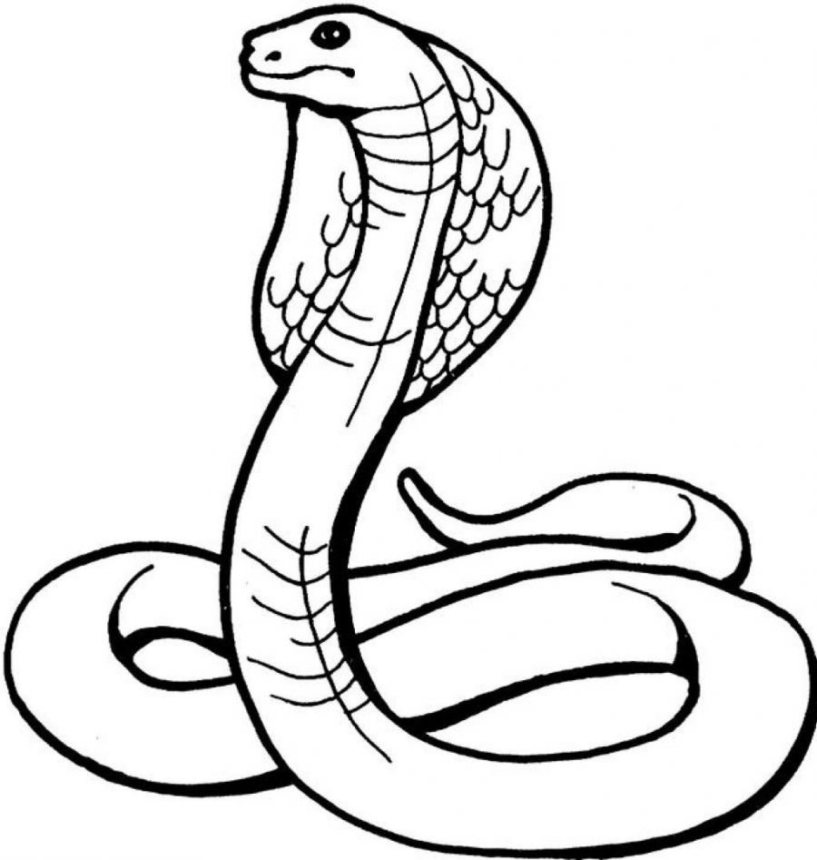 Printable Snake Coloring Pages | Coloring Me