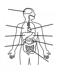 Body image, Art and Clip art