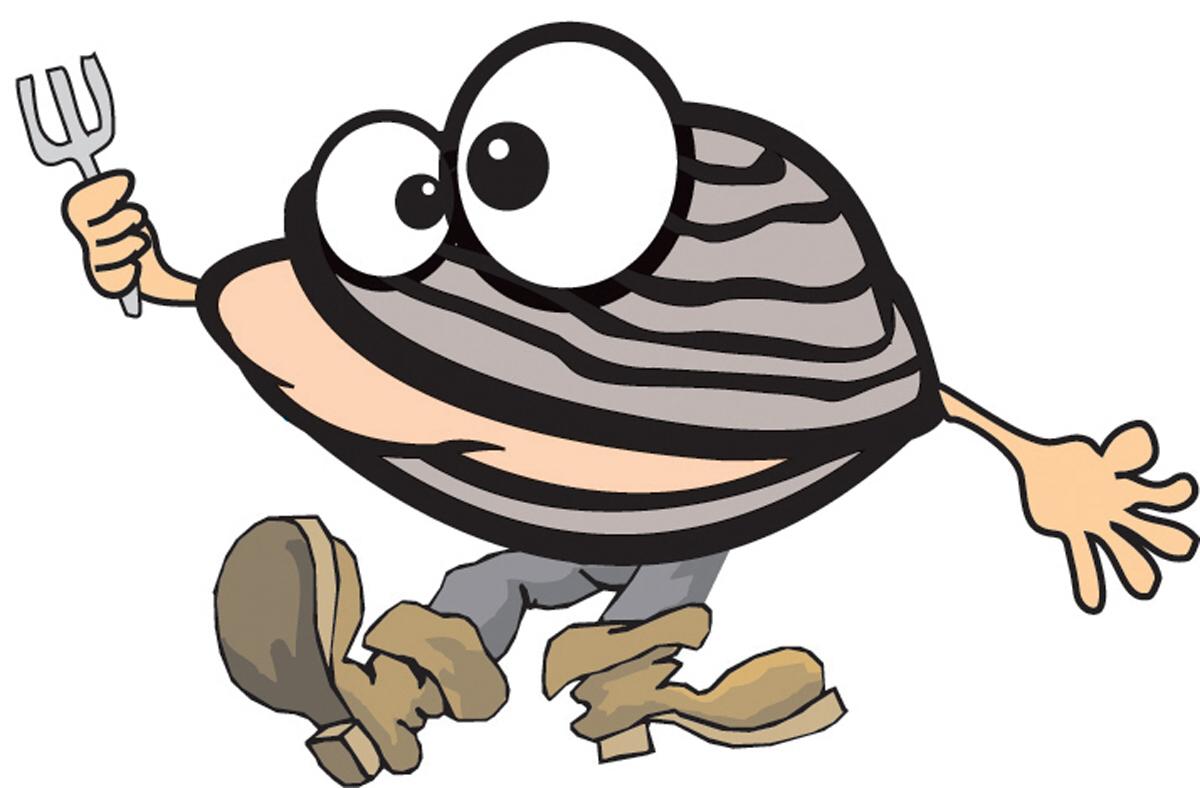 Clam Clipart