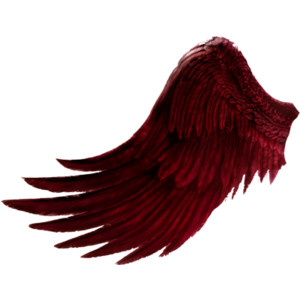 Wings - Polyvore