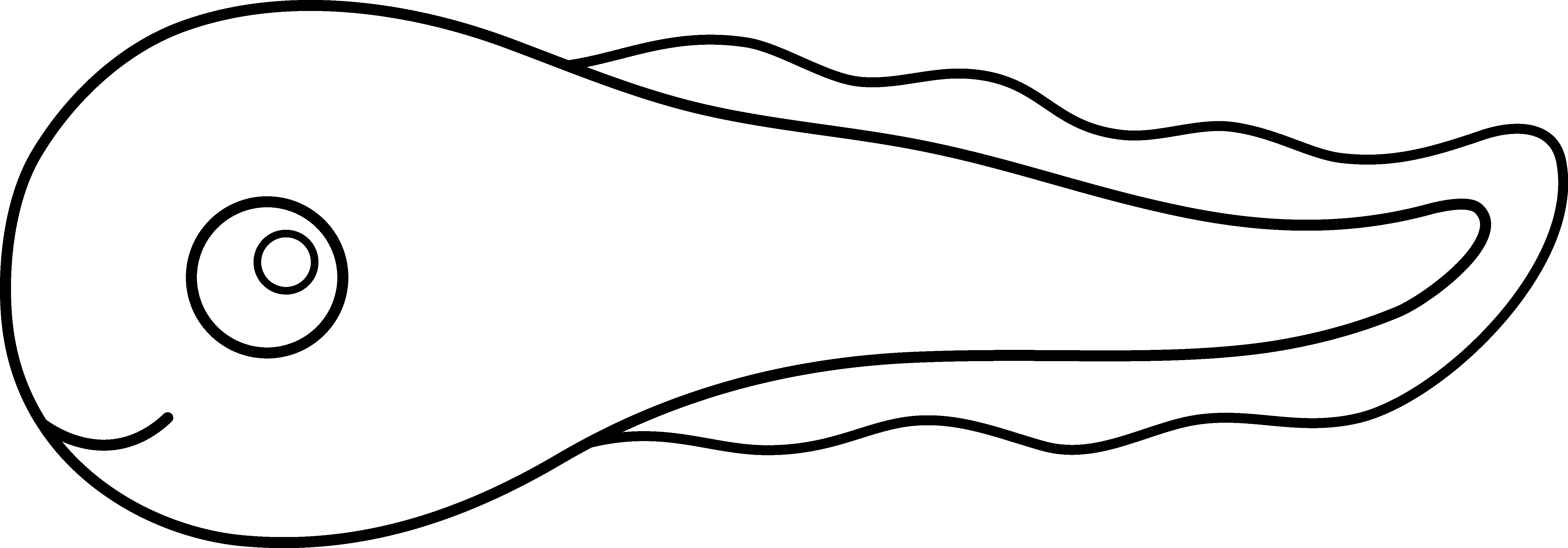 Tadpole Clipart Black And White - Free Clipart Images