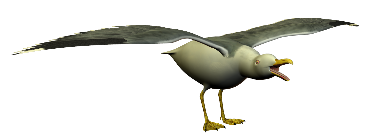Seagull Word Art - ClipArt Best