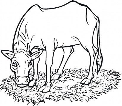 Coloring Pages Of Grass - ClipArt Best