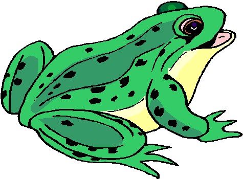 Animated Frog | Free Download Clip Art | Free Clip Art | on ...