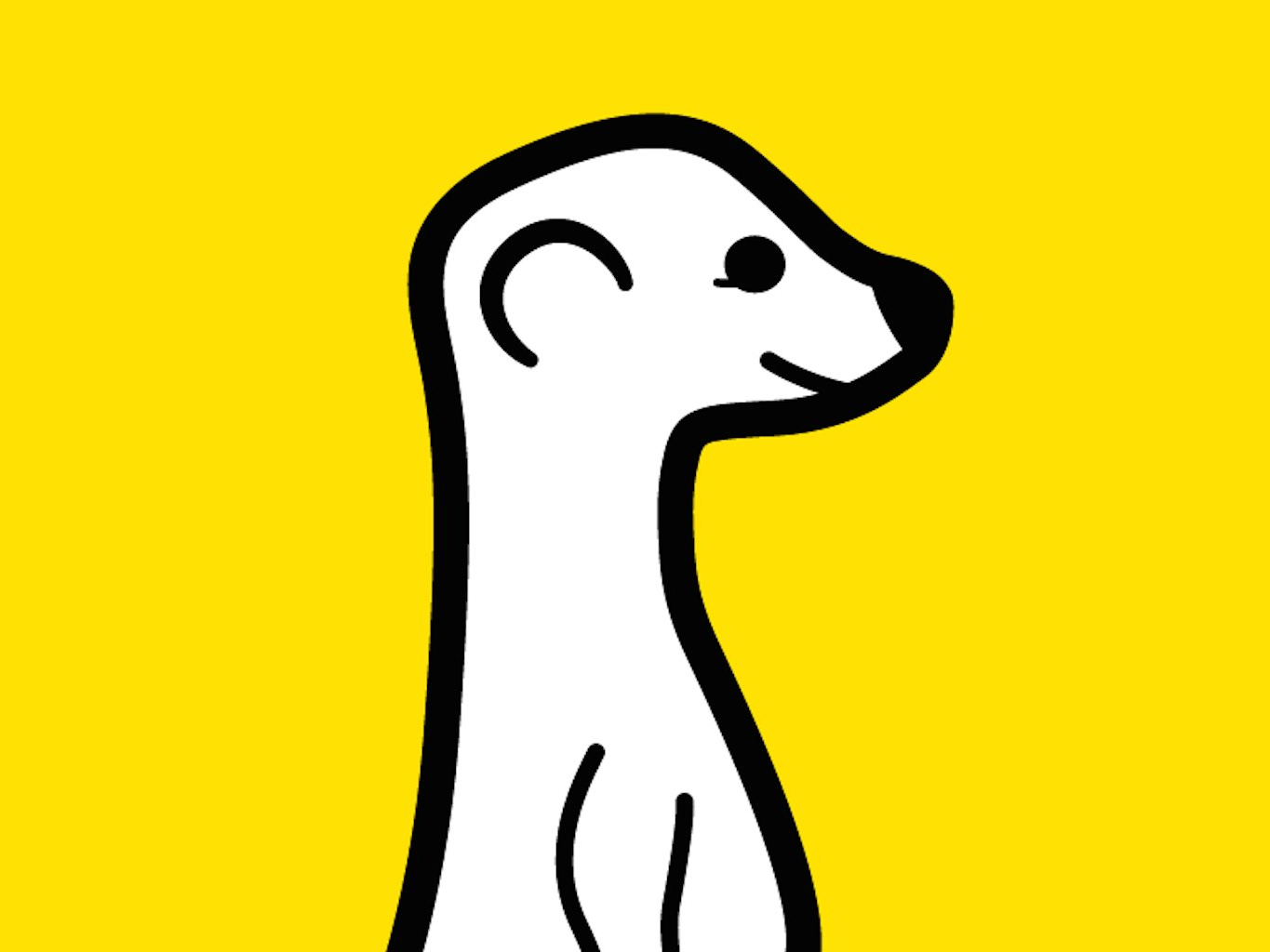 What is Meerkat - Business Insider