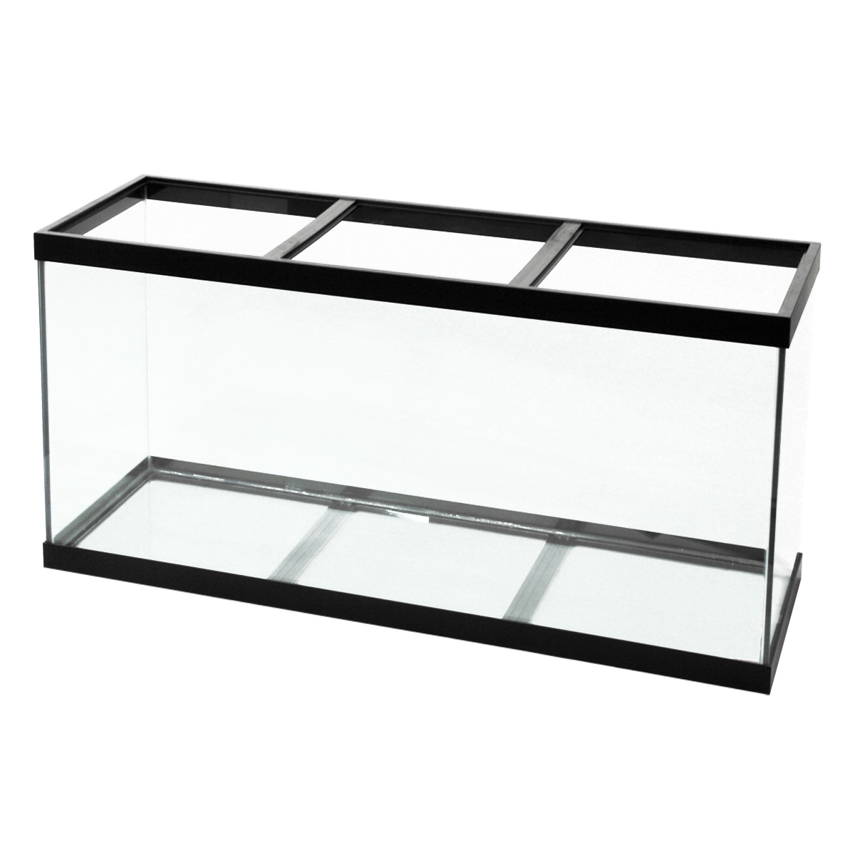 Empty Fish Tank Clipart
