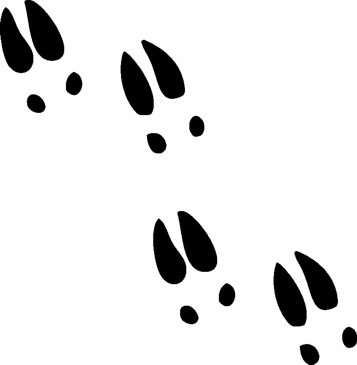 Deer Tracks Clip Art Rf Animal Tracks Clipart