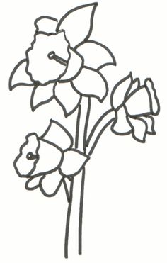 How to Draw Flowers : Drawing Tutorials &amp; Drawing &amp; How to Draw ...