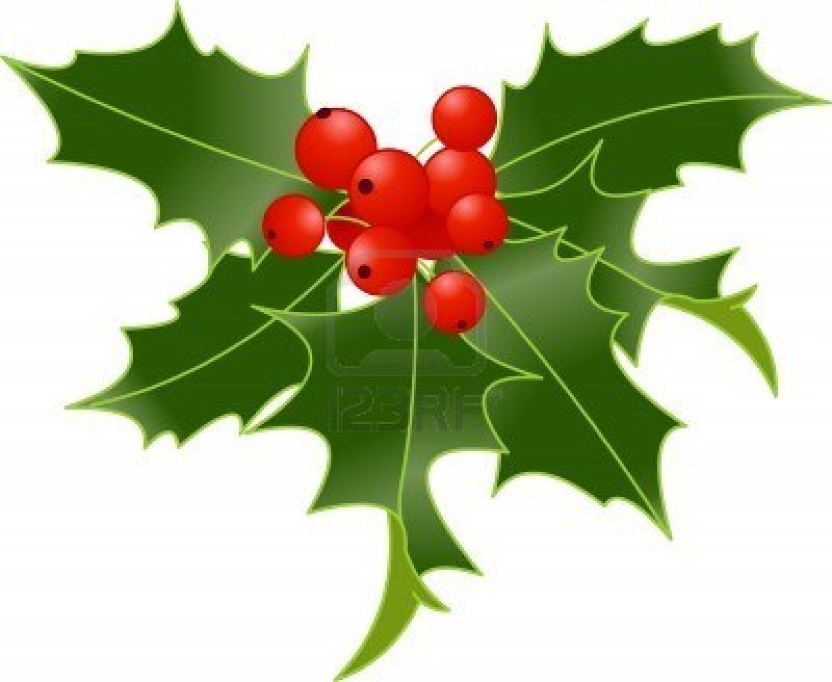 Holly Clip Art - Tumundografico