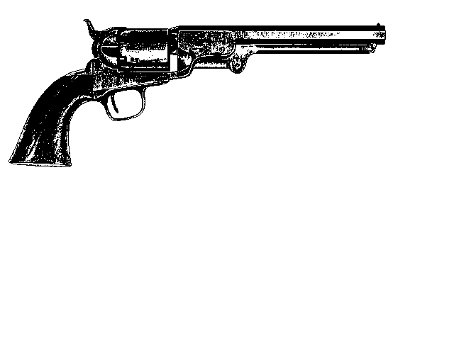 4. OLD WEST FIREARMS: