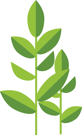 Plantation Clip Art, Vector Images & Illustrations