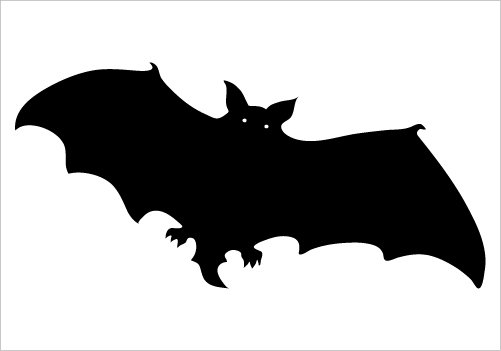 Cats, Graphics and Google