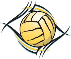 1000+ images about Waterpolo | Basketball posters ...