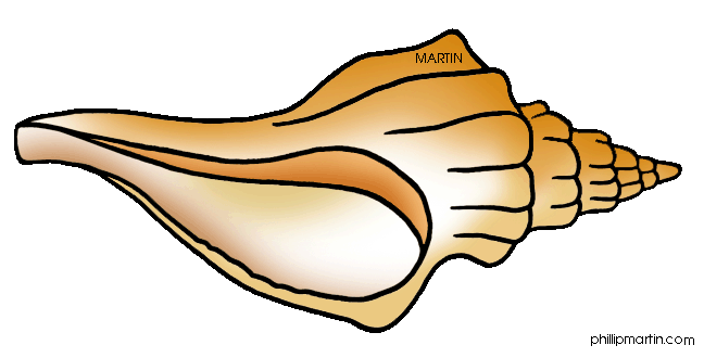 Conch Clipart - Tumundografico