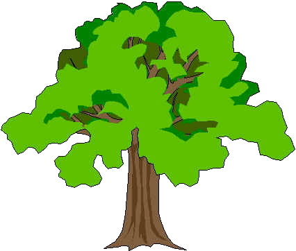 Pohon Png - Free Icons and PNG Backgrounds