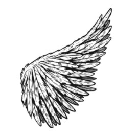 122 Raster & Vector Wings | GoMediaZine