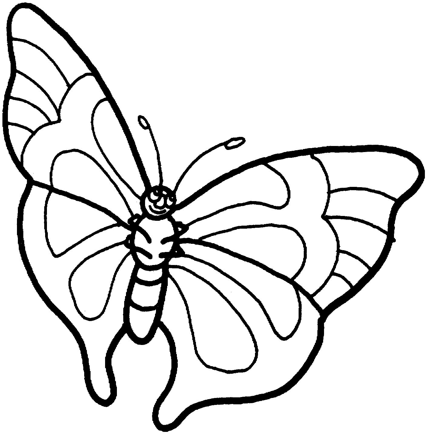 Pic Of Butterfly Simple In Black N White For Colouring For ...