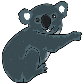 Cartoon Koala Pictures