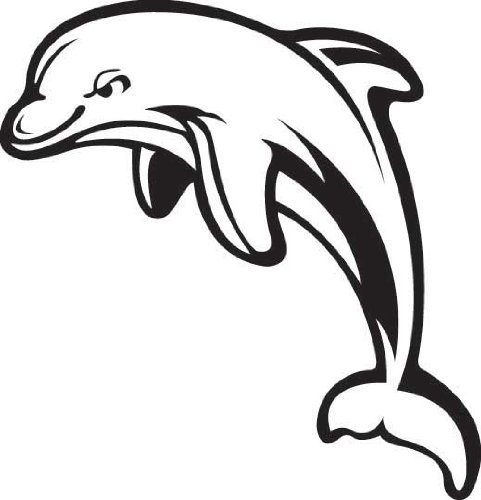 Dolphin logo clipart