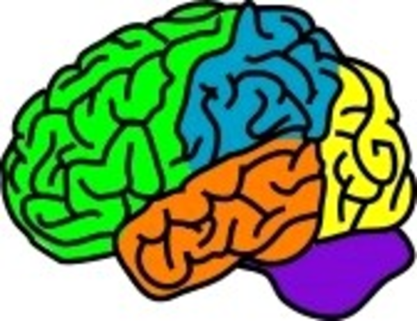 Cartoon Picture Of A Brain | Free Download Clip Art | Free Clip ...