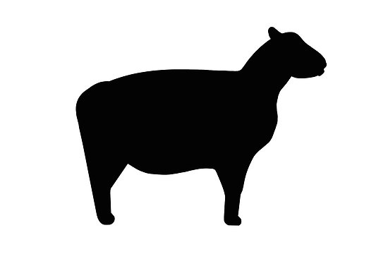 Sheep silhouette" by naturaldigital | Redbubble