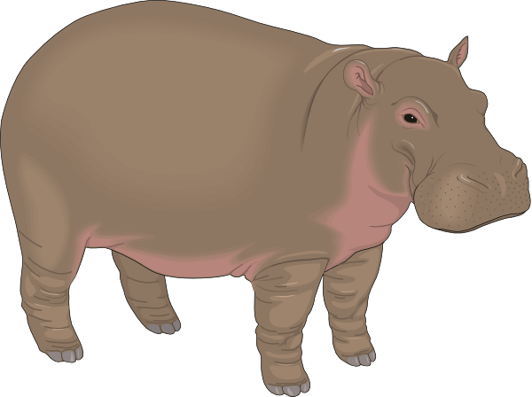 Clipart Hippo