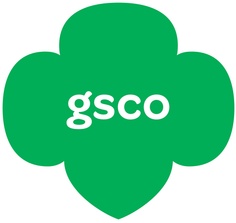 Girl Scout Brownies