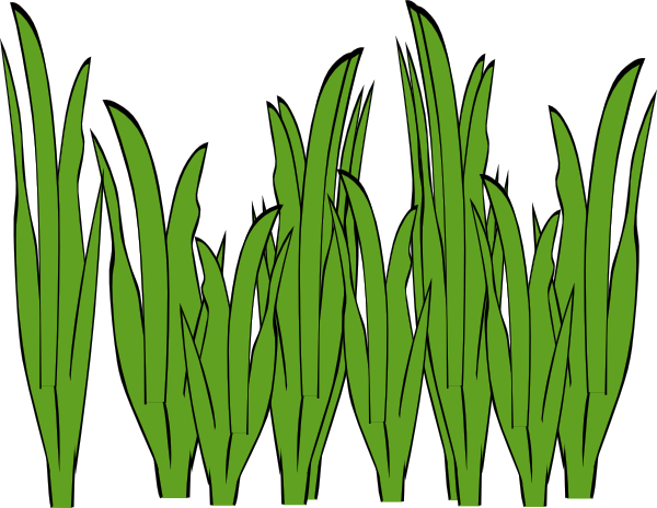 Grass Black Clip Art - ClipArt Best