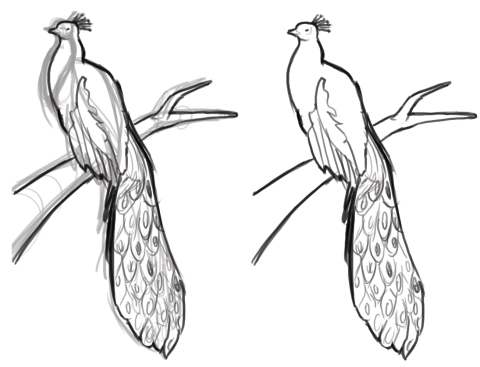 Painting A Peacock In GIMP or Photoshop | KalaaLog