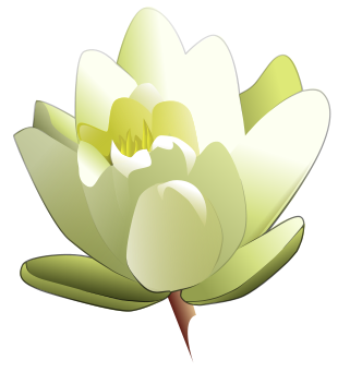 Free Lily Clipart - Public Domain Flower clip art, images and graphics